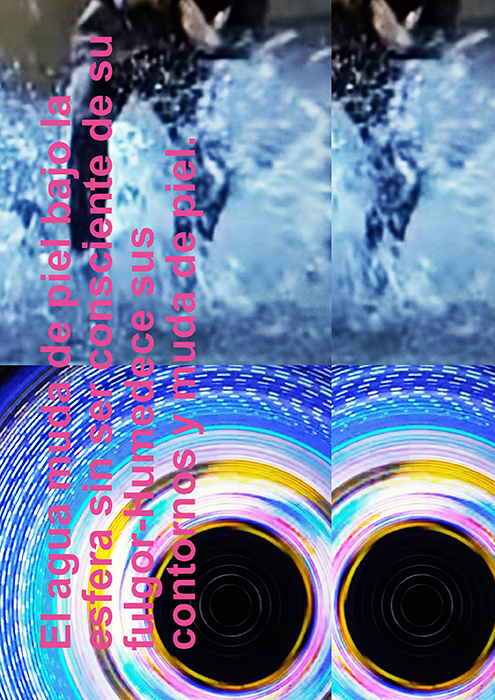 imagen 20. ferran destemple 2